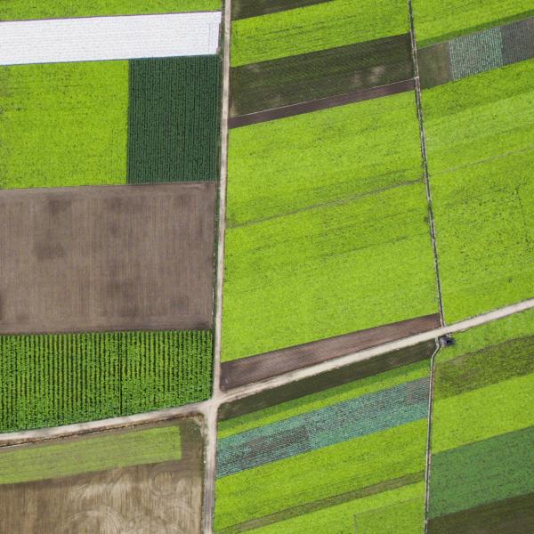 field from above