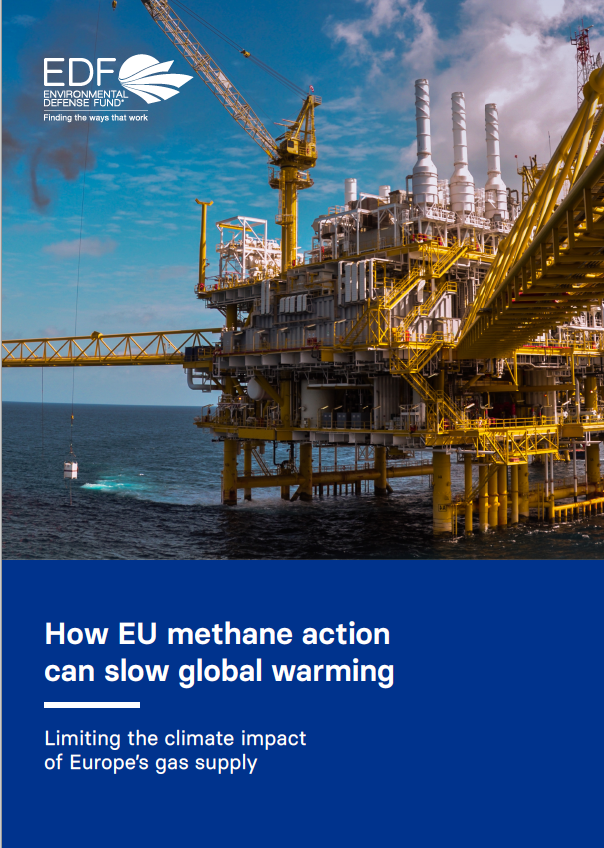 How EU methane action can slow global warming: policy brief ...